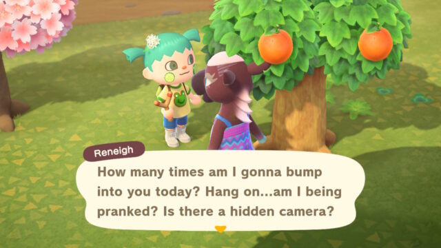 Animal Crossing: New Horizons