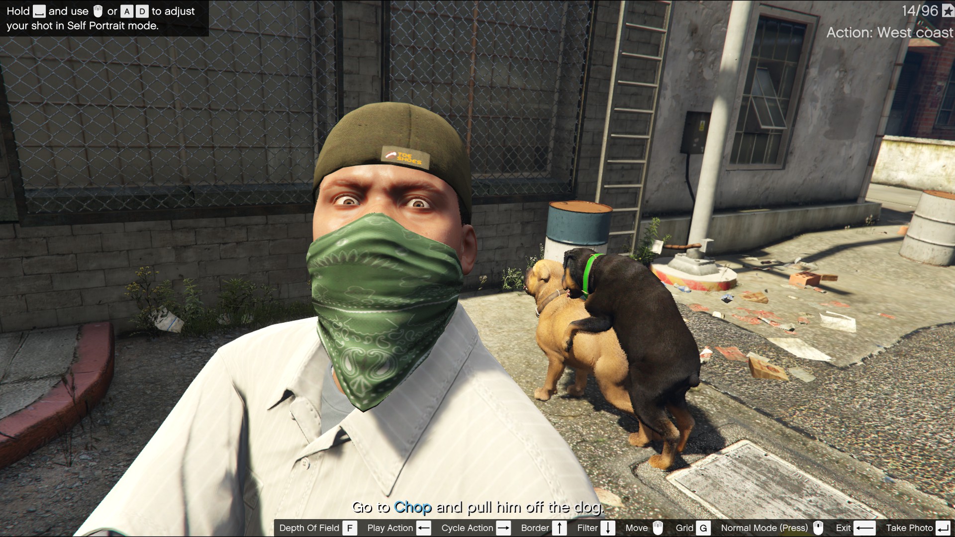 Grand Theft Auto V Online on PC