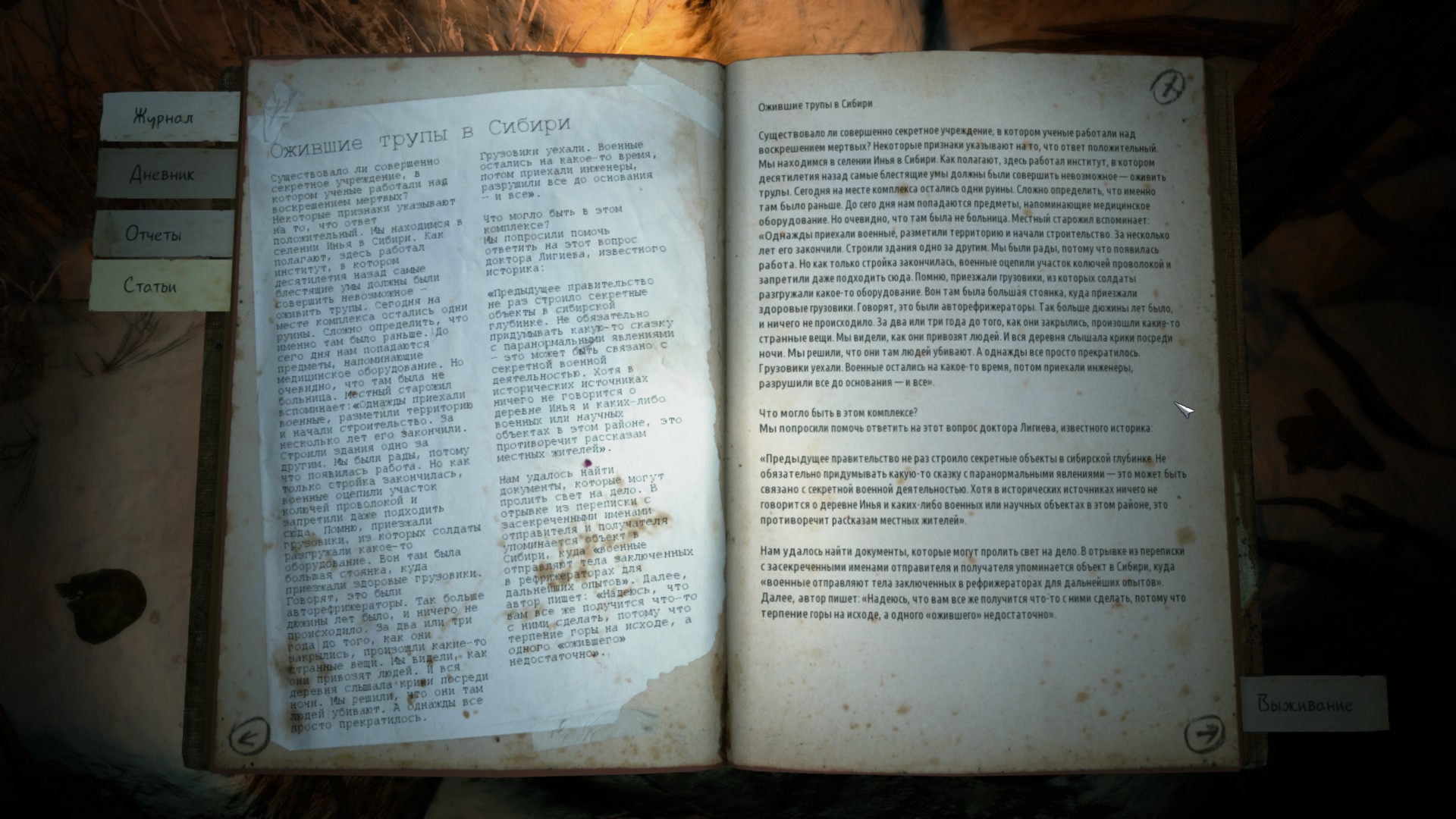 Image related to diary entries within the game