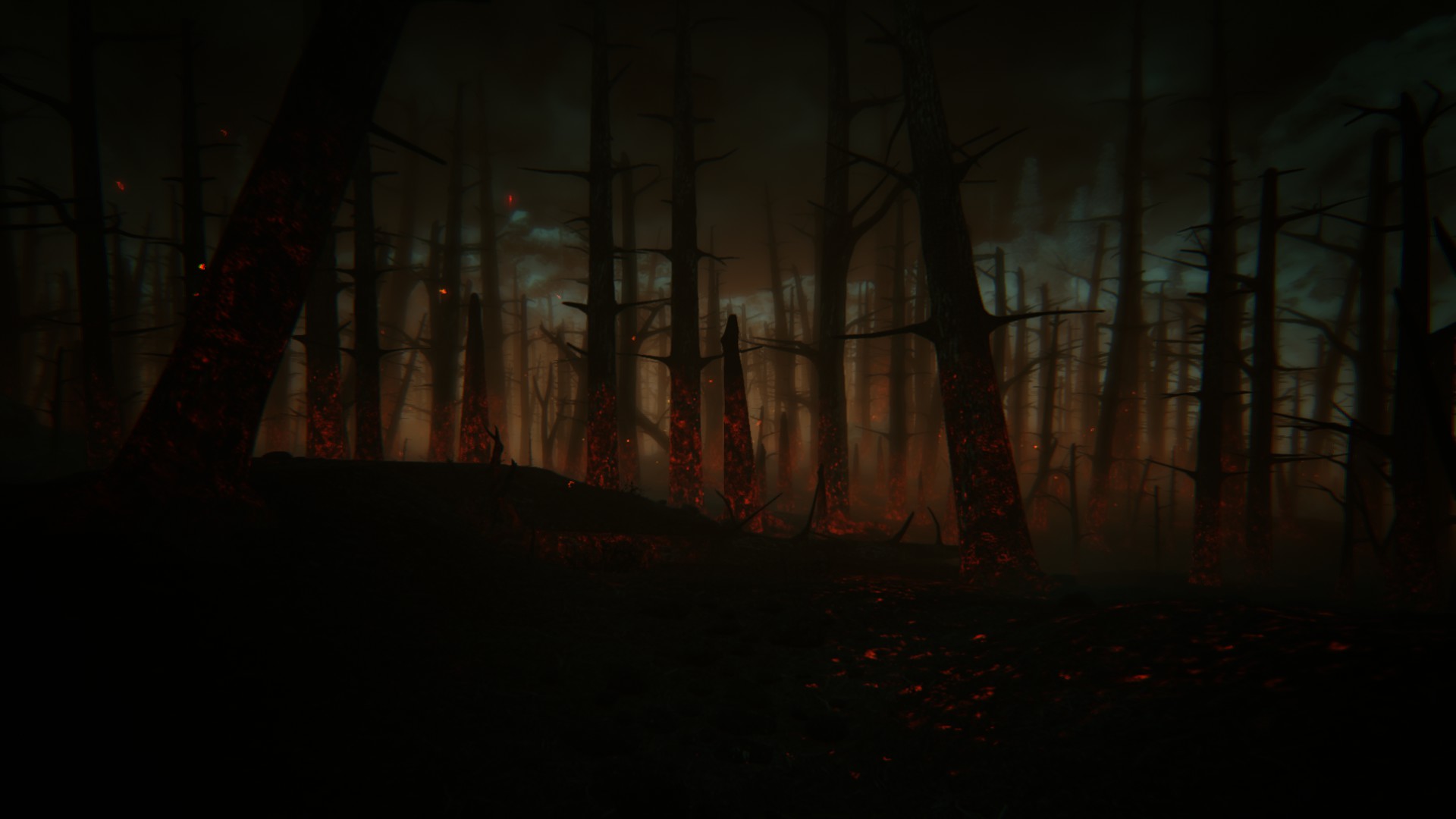 Screenshot featuring a forest scene