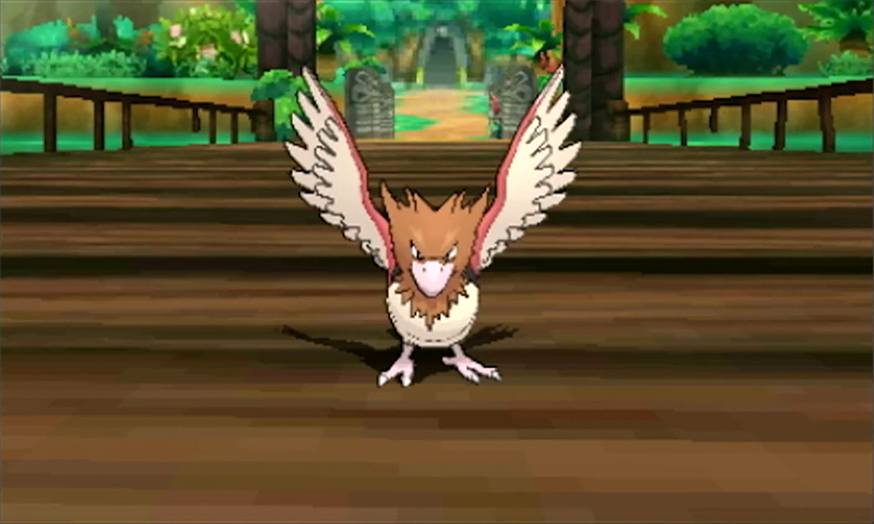 Spearow's watchful eye