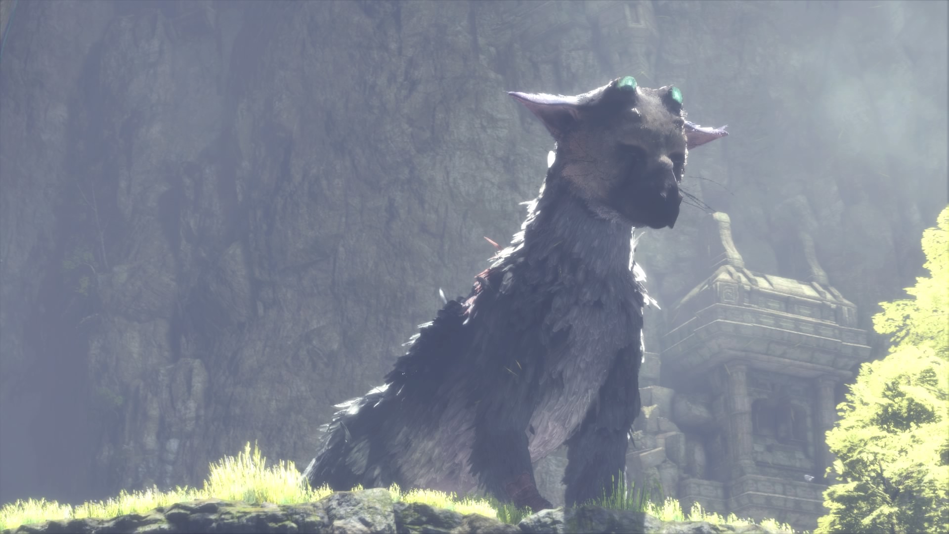 Embarking on an adventure in The Last Guardian